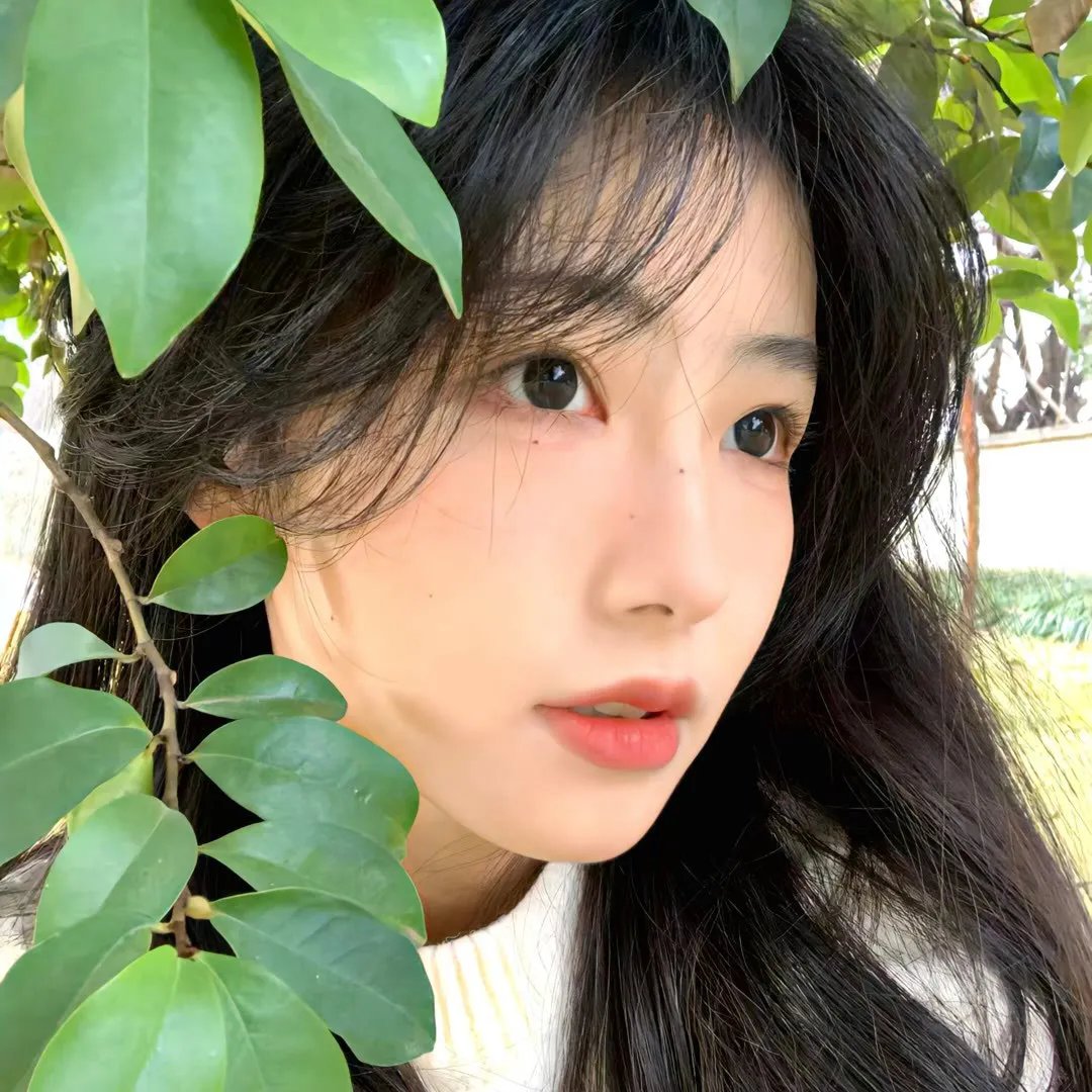 地球四季海报